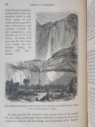 Scenes of Wonder and Curiosity in California