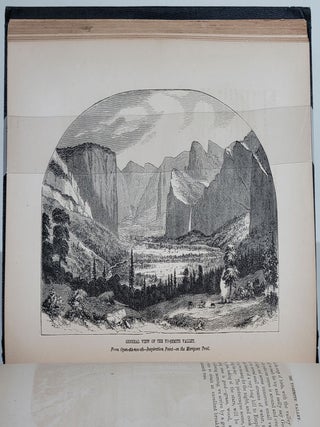 Scenes of Wonder and Curiosity in California