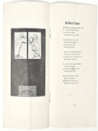De Roosterfelt Book