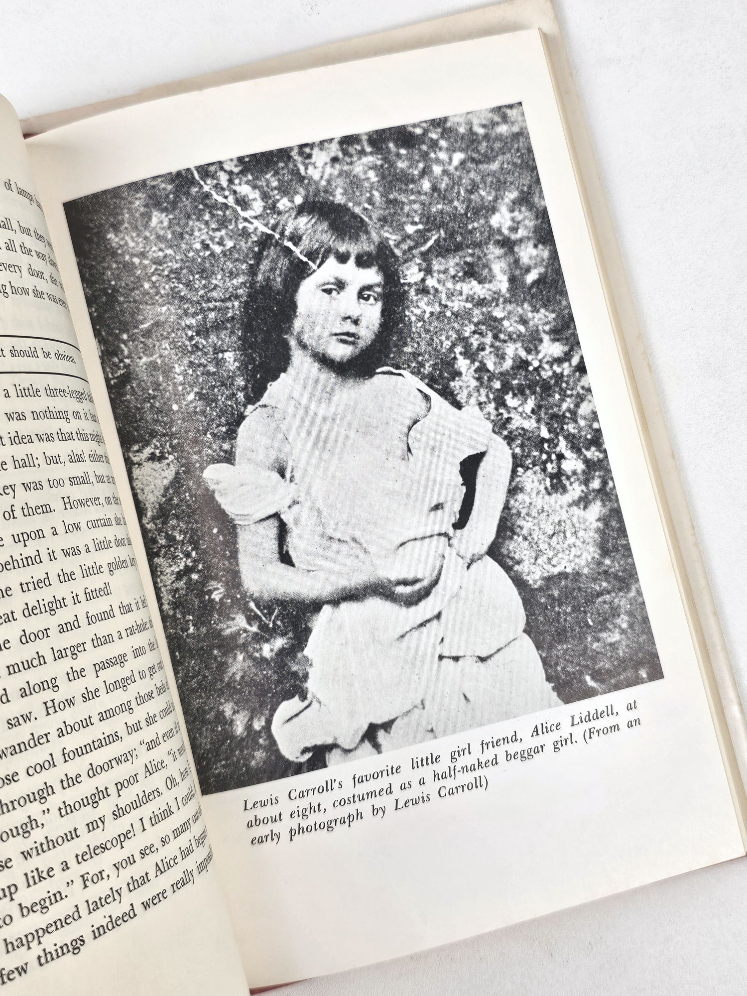 Alice in Acidland Signed | Thomas Fensch | First Edition
