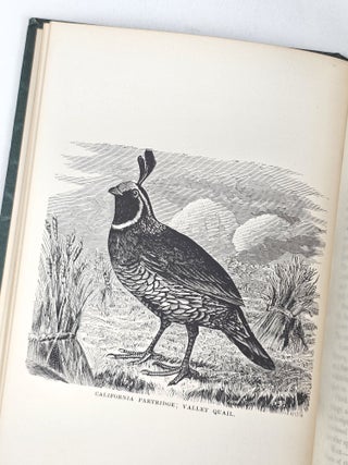 Frank Schley's American Partridge and Pheasant Shooting, Written by Himself