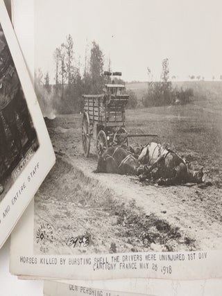 My Experiences in the World War