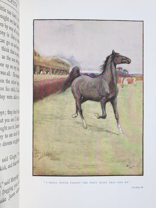 Black Beauty: The Autobiography of a Horse