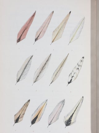 A Book of Trout Flies: Containing a List of the Most Important American Stream Insects and Their Imitations (Signed by Jennings)