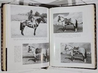 Equitación Gaucha en La Pampa y Mesopotamia
